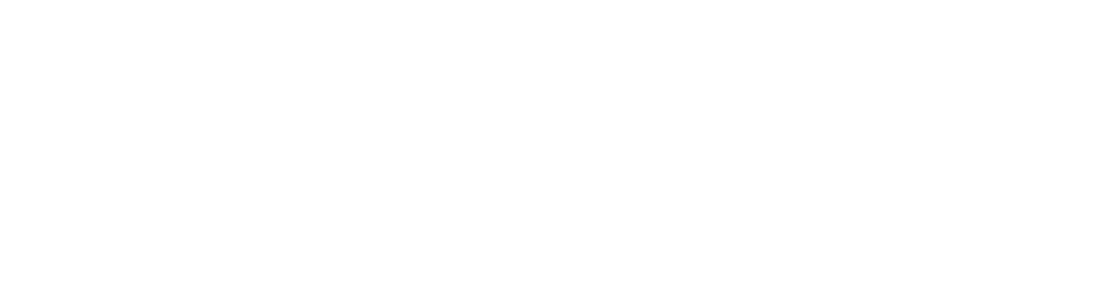 Felix Wührer Logo